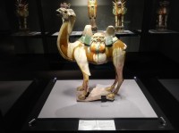 Camel China, Tang dynasty