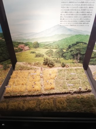 Yayoi period rice cultivation