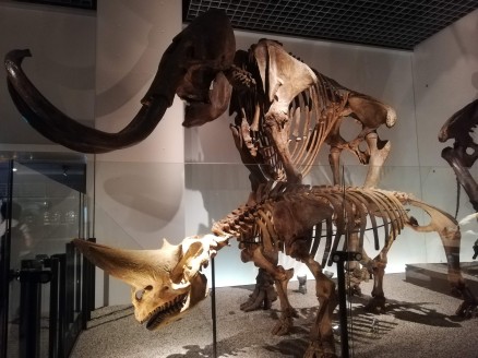Columbian Mammoth and Arsinoitherium