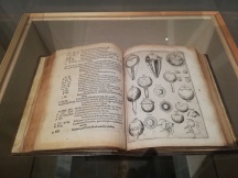 Ad Vitellionem paralipomena, quibus astronomiæ pars optica traditvr Johannes Kepler