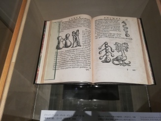 De distillatione libri ix Giambattista Della Porta